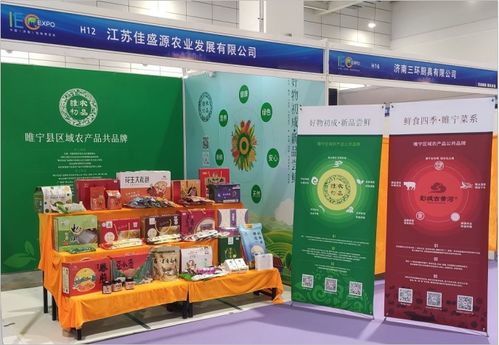 睢寧縣電子商務(wù)進(jìn)農(nóng)村綜合示范創(chuàng)建助力農(nóng)產(chǎn)品亮相第七屆濟(jì)南電子商務(wù)博覽會